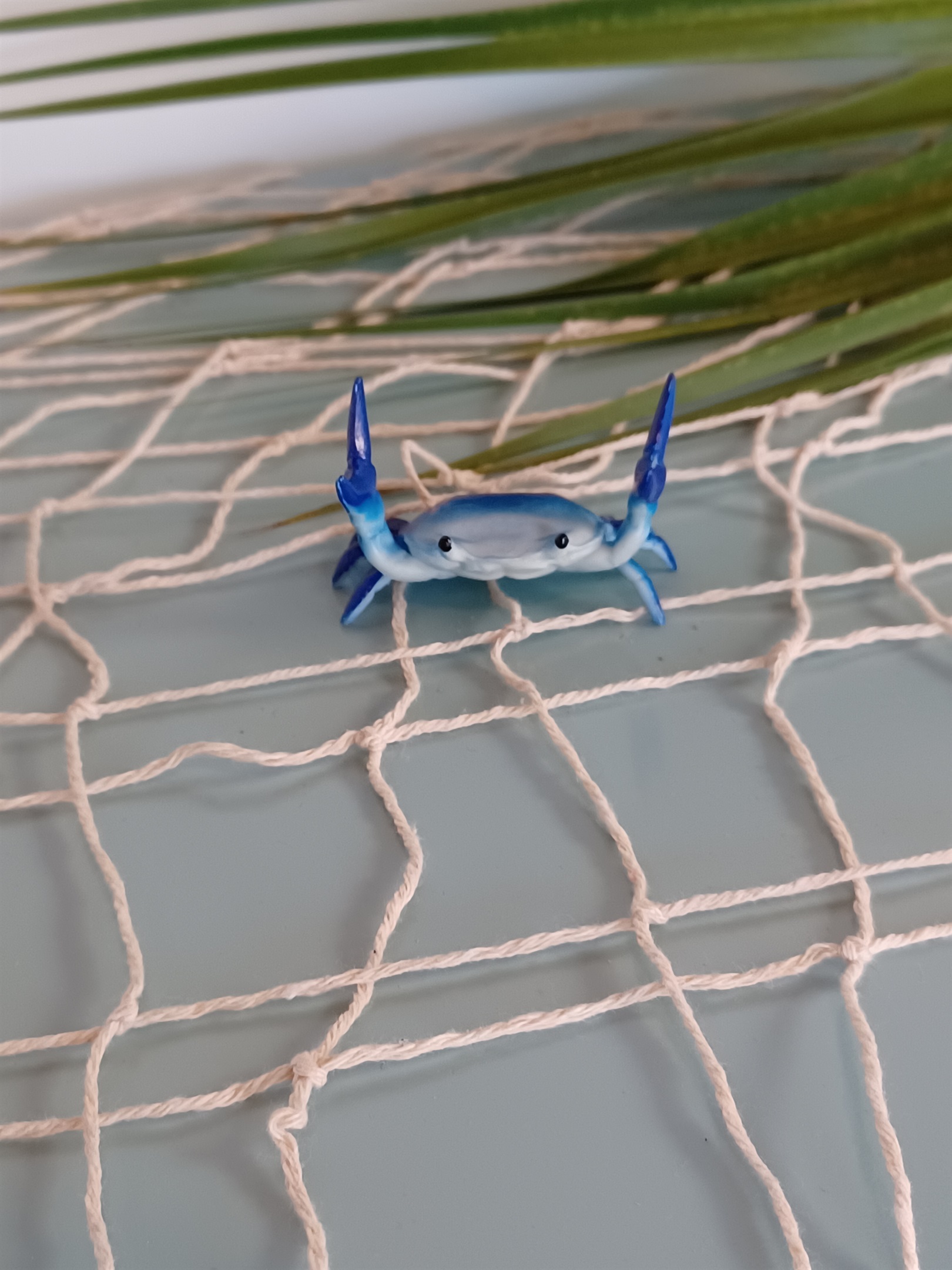 Seahorse decorations