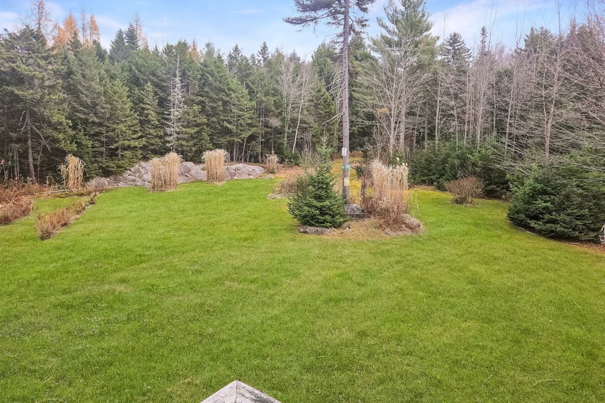 Beautiful backyard