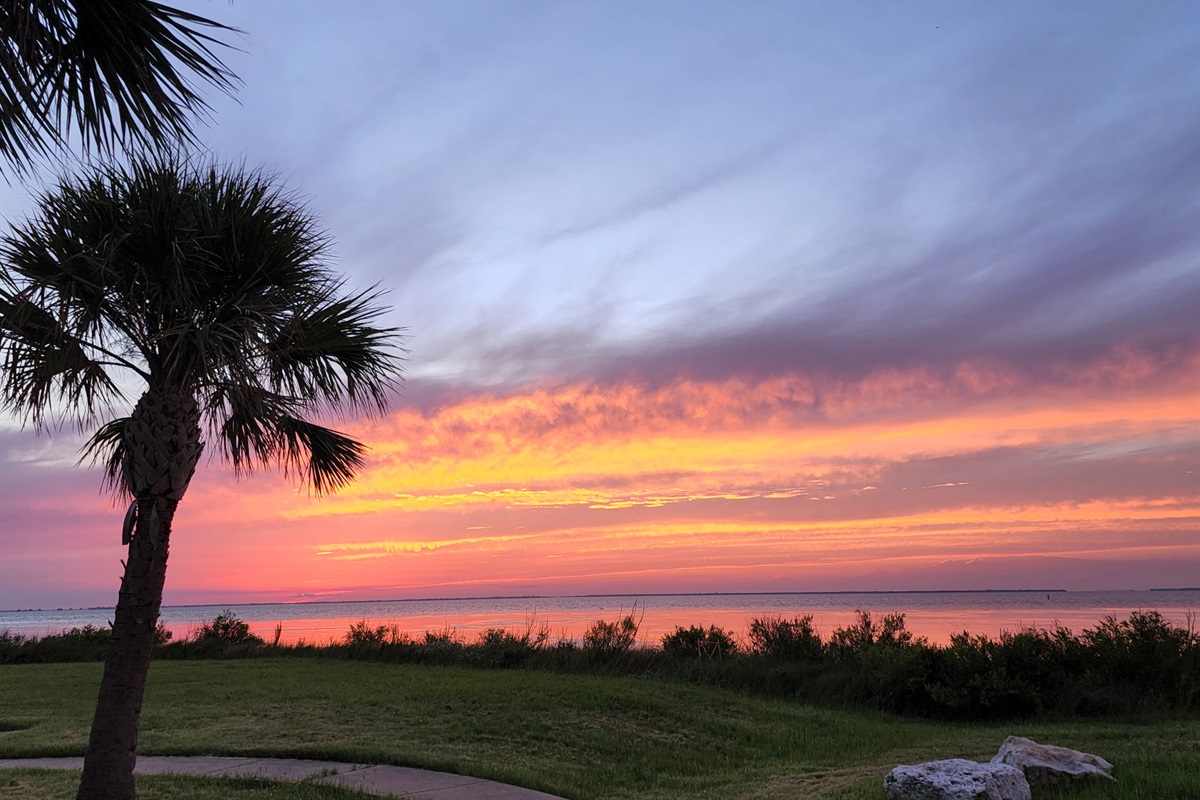View from back patio.