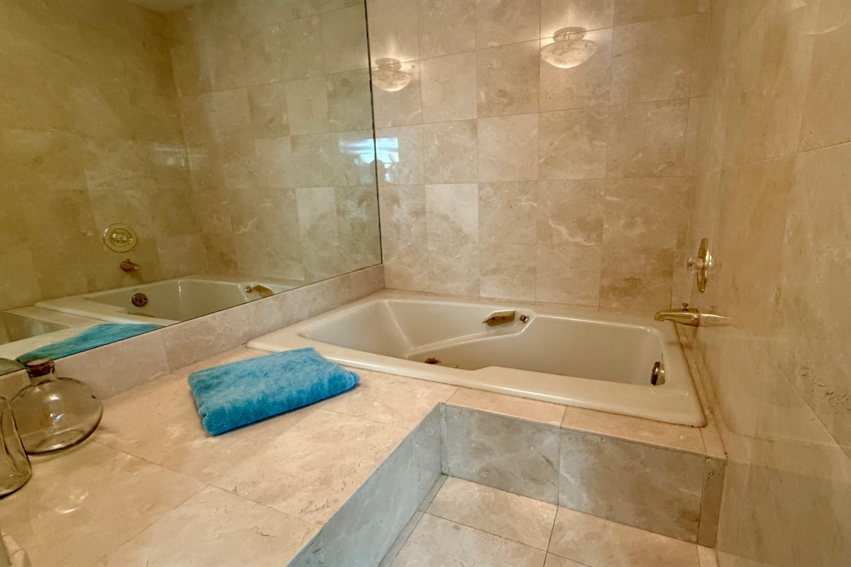 master ensuite jetted tub