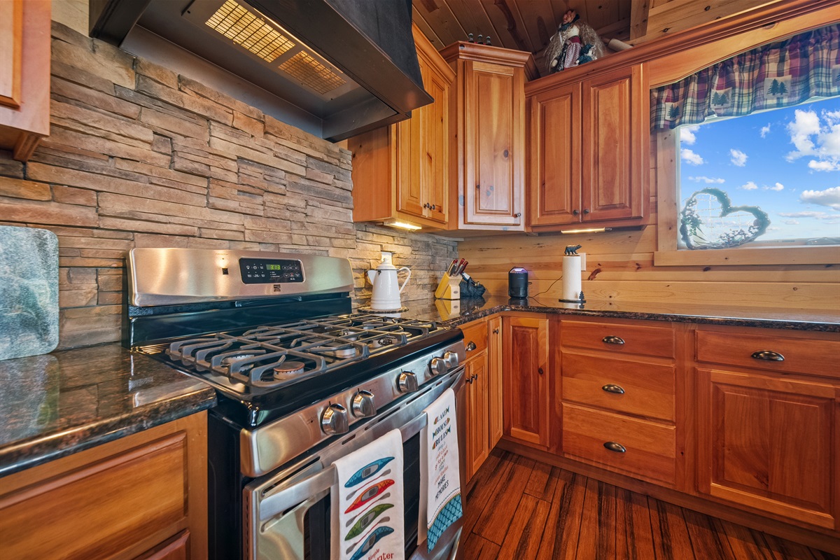 Propane Gas Stove