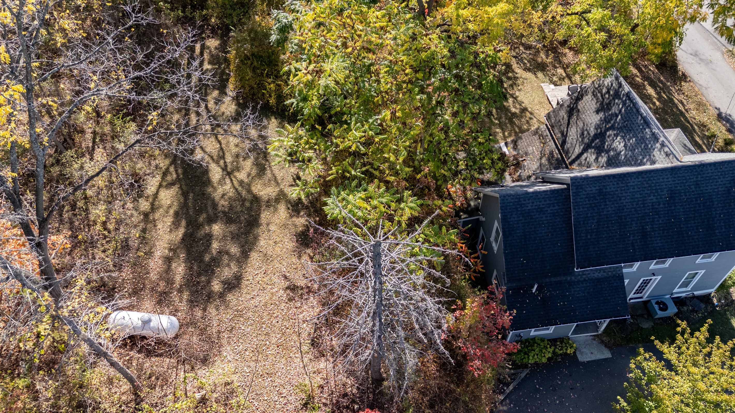 Scenic wooded path leading down toward the lake — the perfect spot for nature lovers to unwind