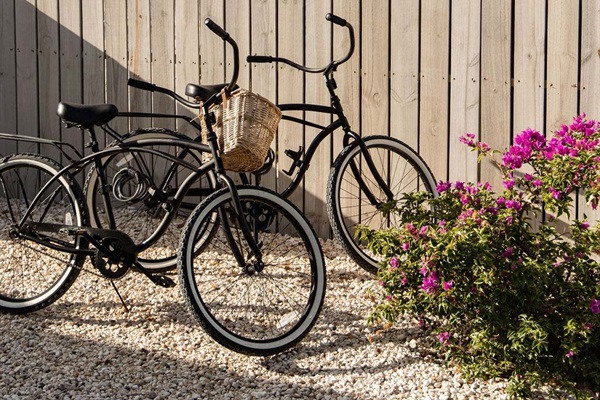 Two bikes to get about