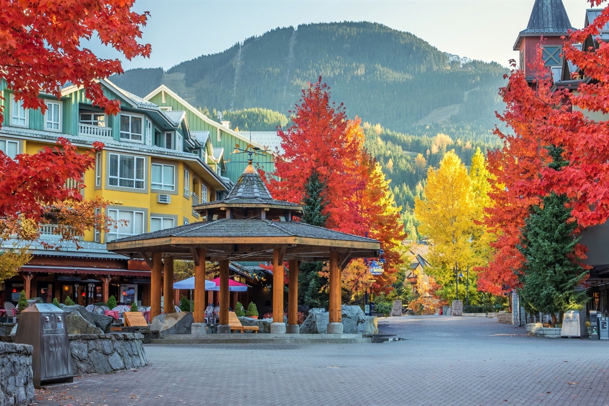 Fall in Whistler is absolutely stunning! Visit in October for amazing vistas and less crowds!