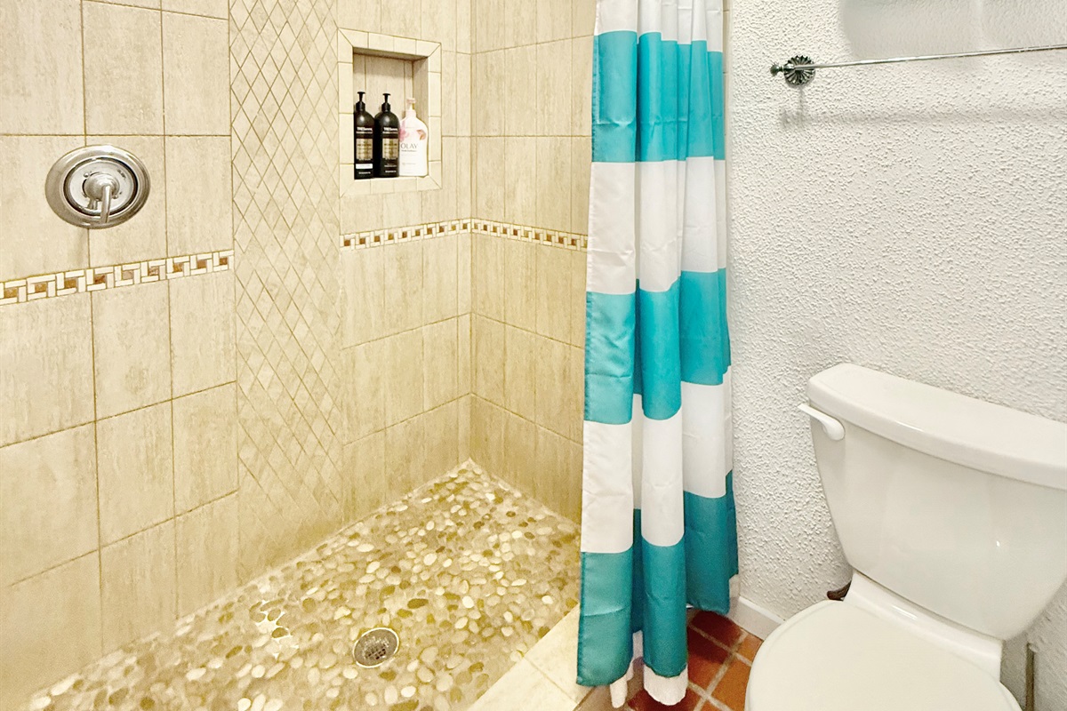 Guest bathroom