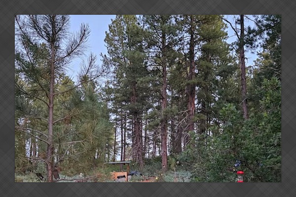 Trail to the Convertible A-Frame cabin