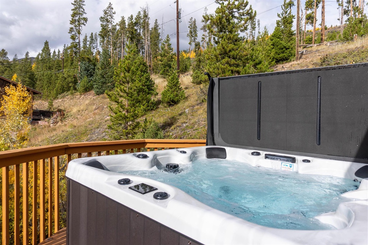 Home backs up to National Forest!