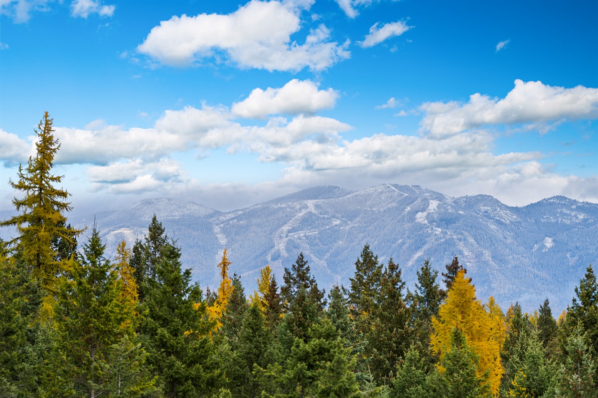 These are the views you’ll wake up to every day.