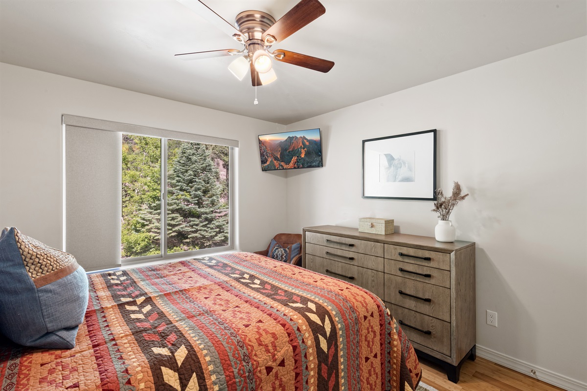 Lower Level- Bedroom 2- Queen bed