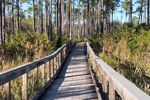 Conservation Park Trails