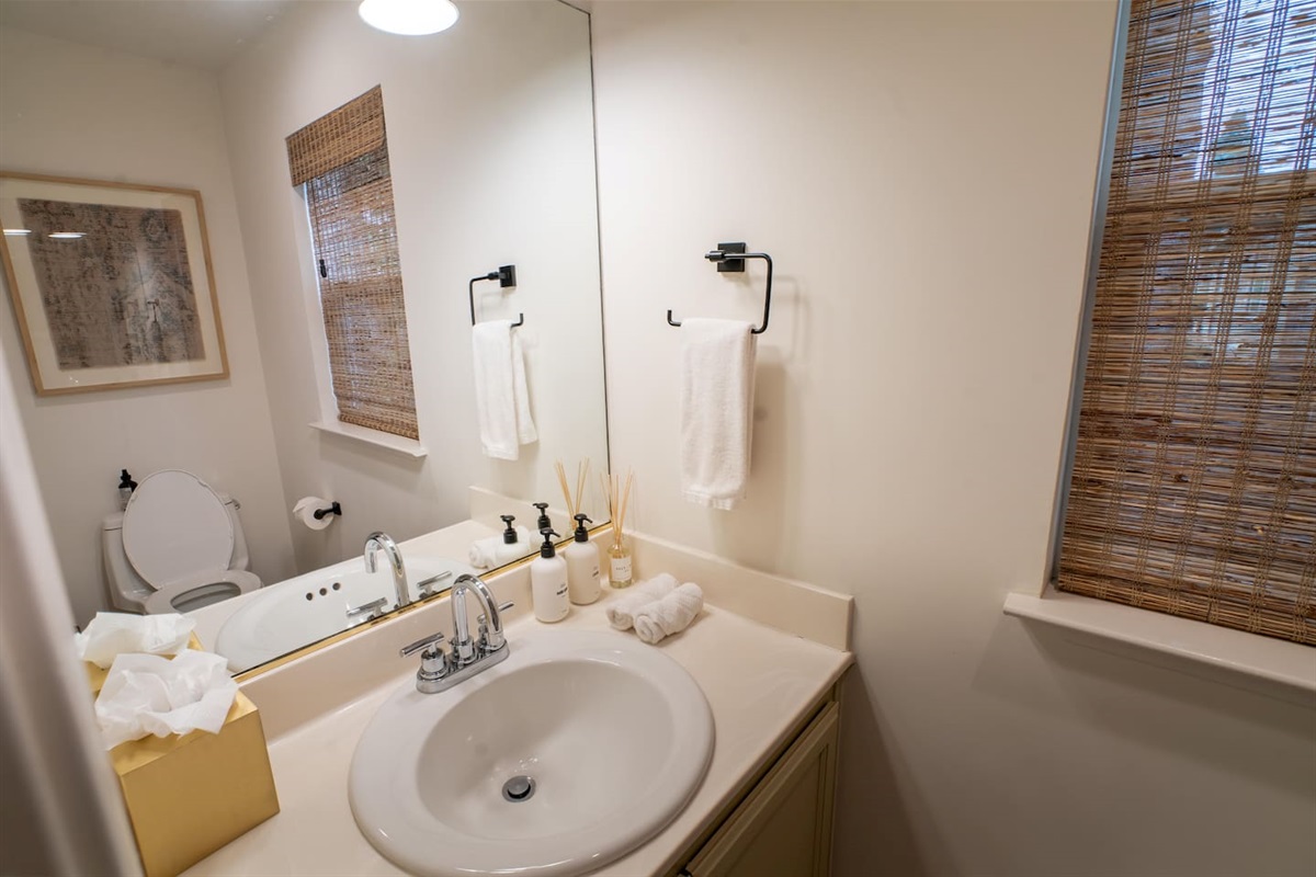 Half-bathroom downstairs