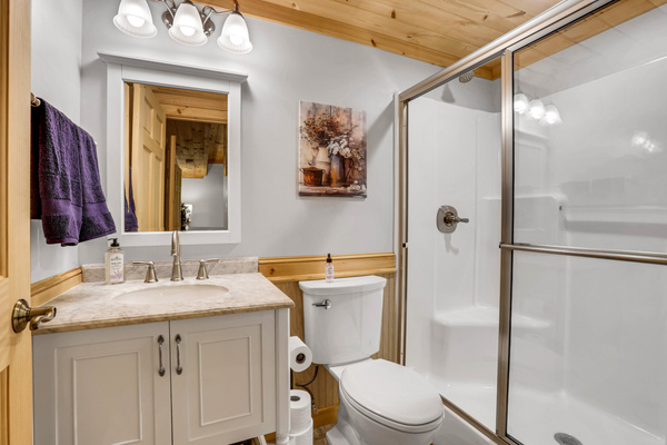 Basement Bathroom