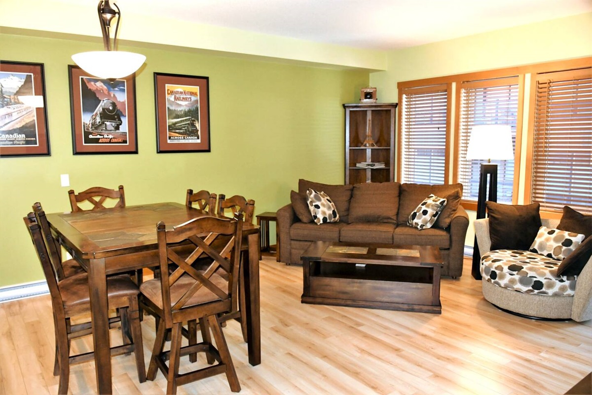 Living room, with fold out couch (queen size)