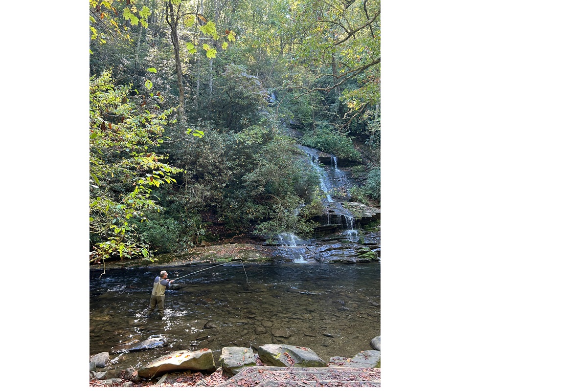 Tom Branch Waterfall