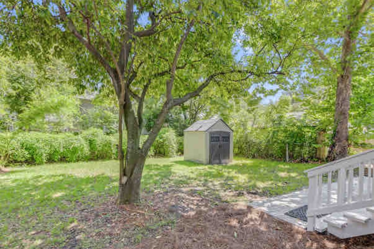 Fully fenced backyard area