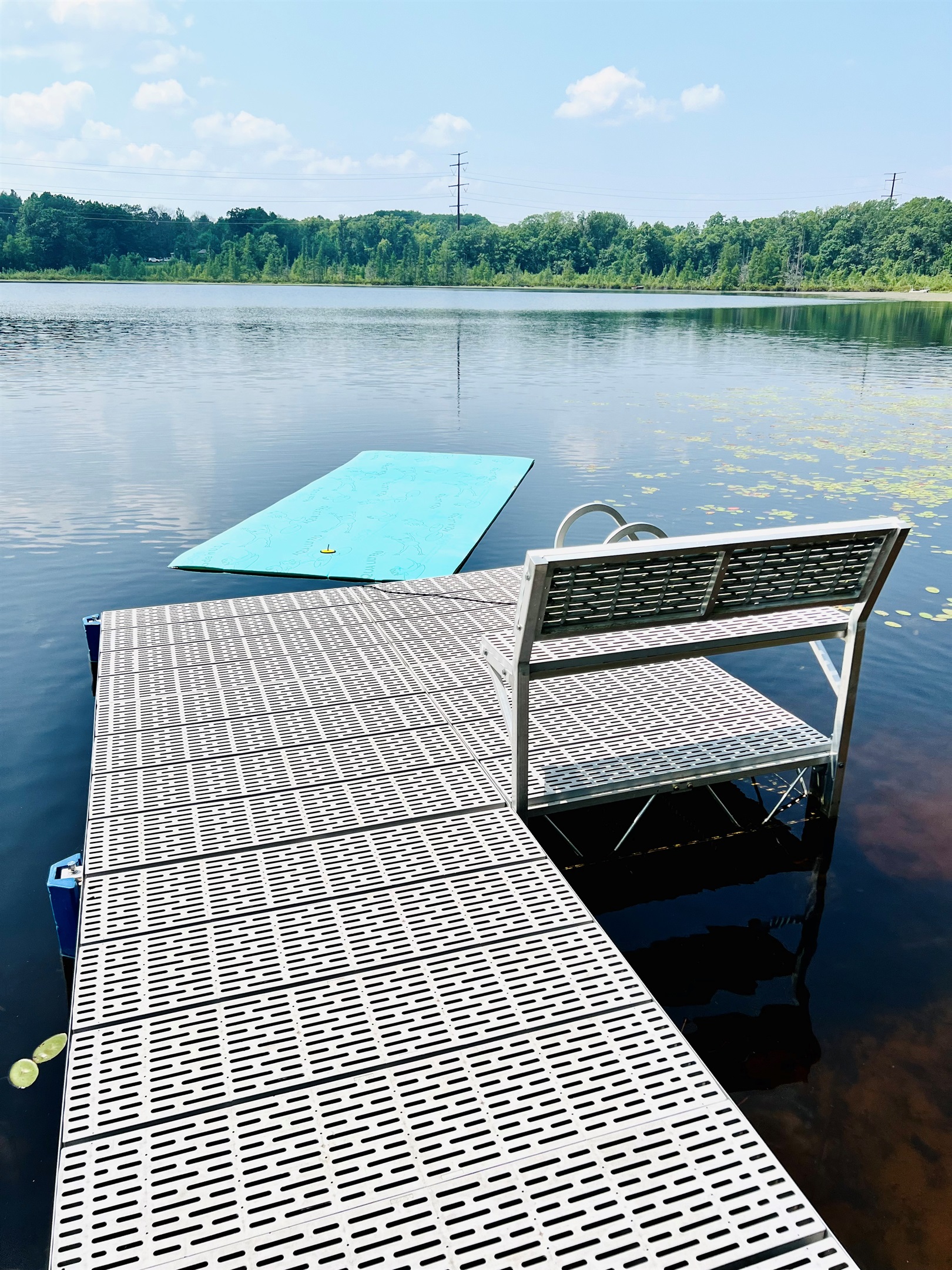 We have a Lilly Pad too! Kids will love playing on it!