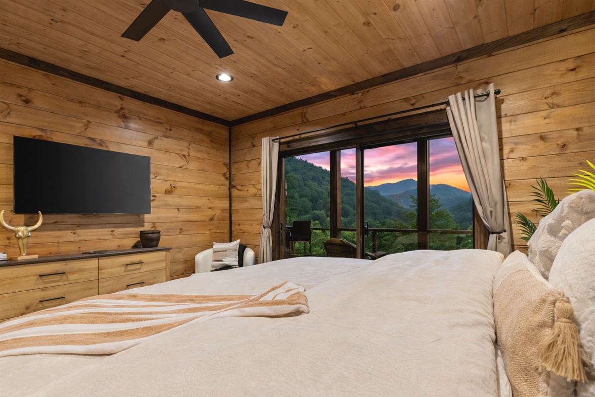 Wake to windows framed by trees and sky.