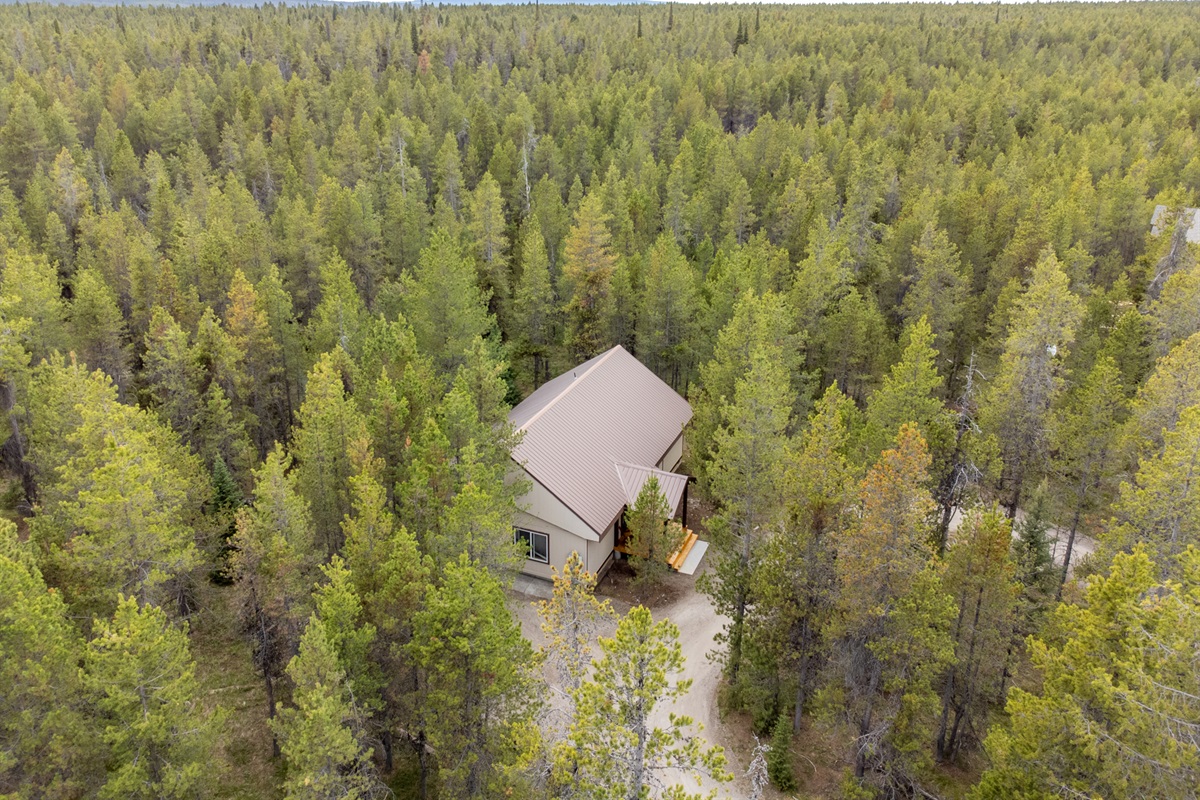 Cabin amongst the forested wilderness