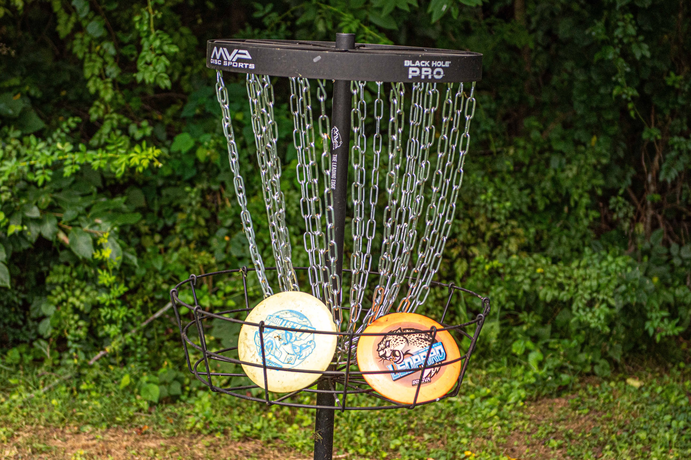 🥏 Take your best shot on our private disc golf course — a playful way to enjoy the fresh mountain air without ever leaving the lodge grounds.