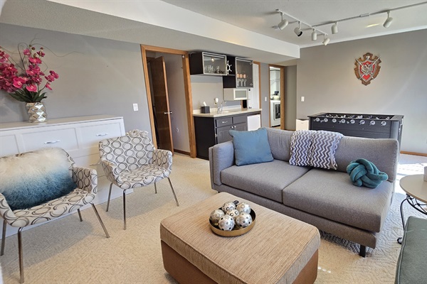 Lower level living room