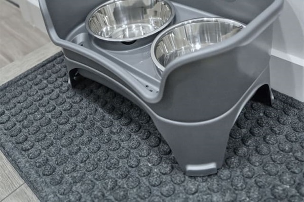 Elevated pet dining area with dual bowls for added comfort and cleanliness