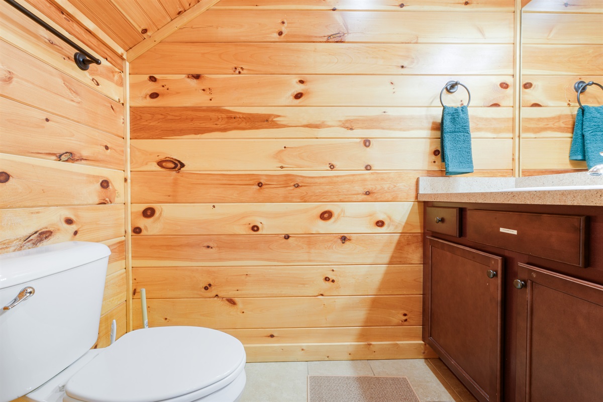 Half bathroom in the basement.