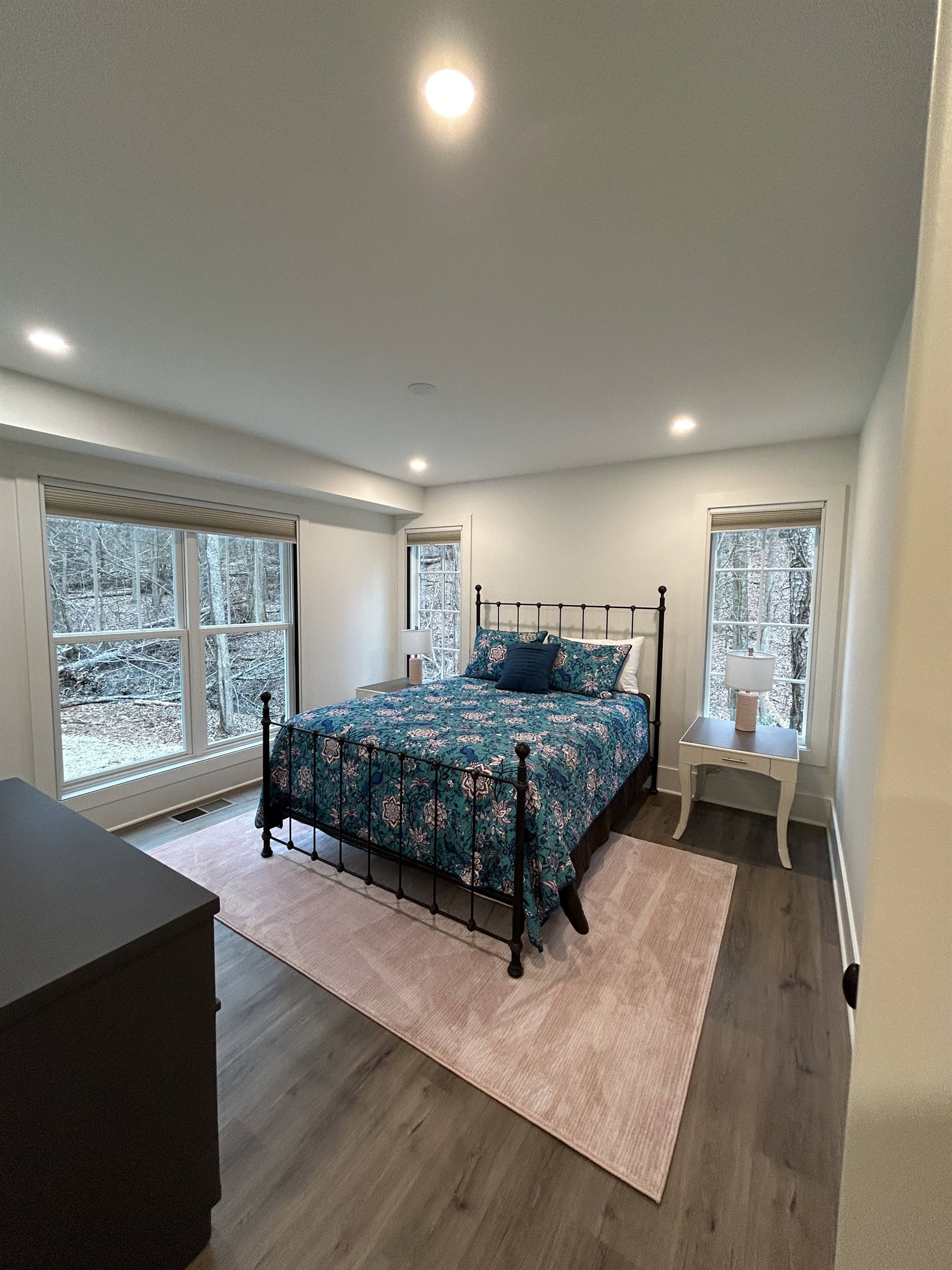 Downstairs bedroom - queen bed