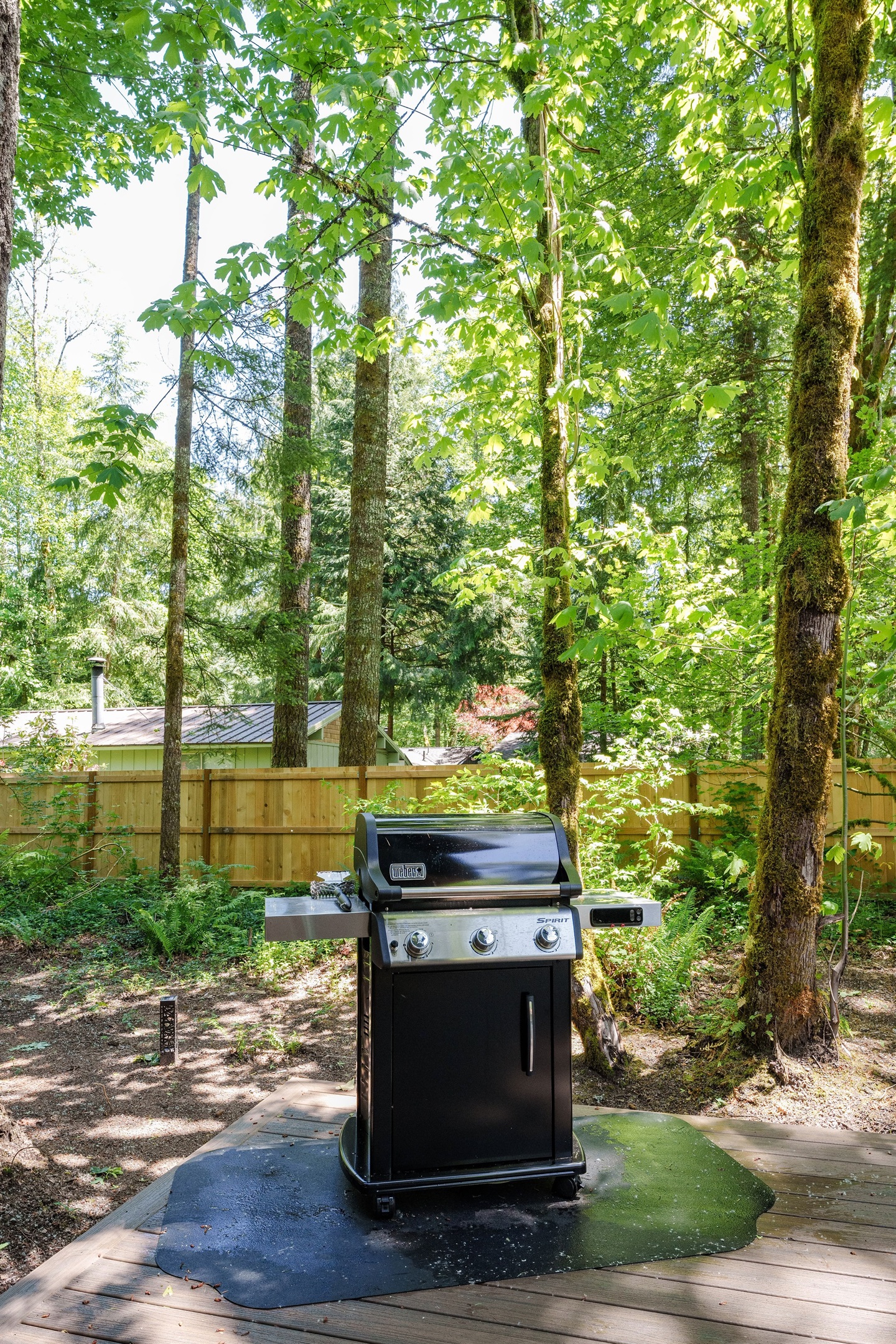 Propane BBQ Grill
