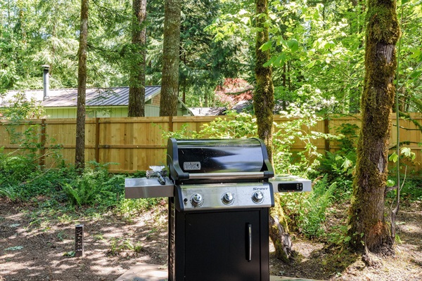 Propane BBQ Grill