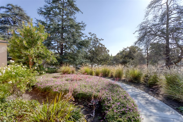 Beautiful landscaping
