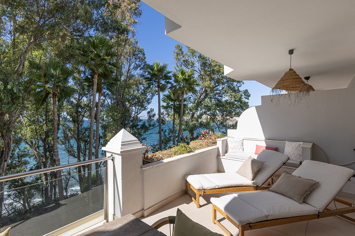 Terrace - sunbeds