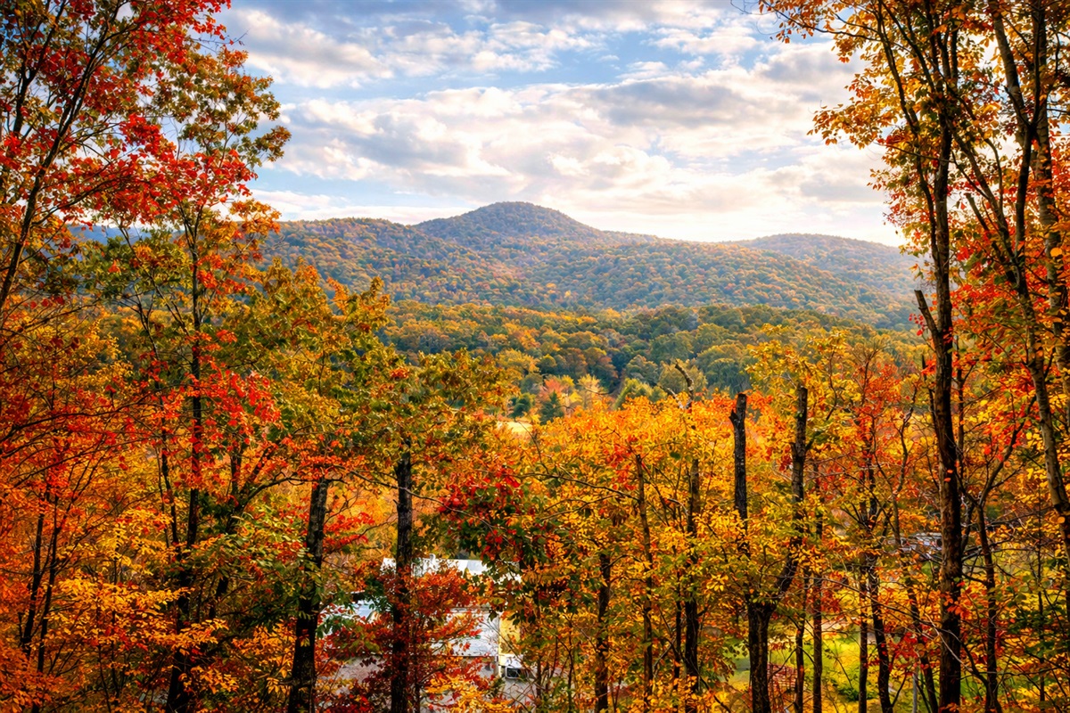 “Breathtaking mountain views surrounded by vibrant fall foliage 🍂⛰️ – a peaceful escape in every direction.”