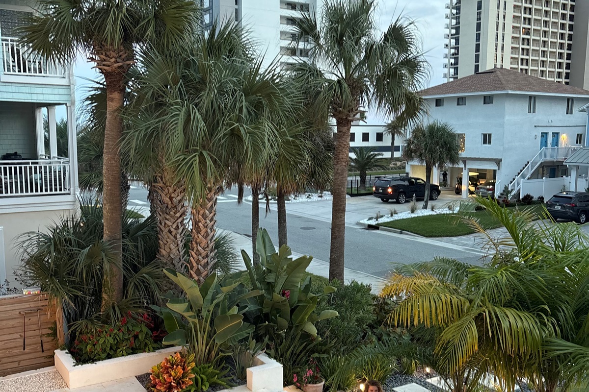 Steps from the best of the beach 🌴 Explore the neighborhood + local spots nearby.