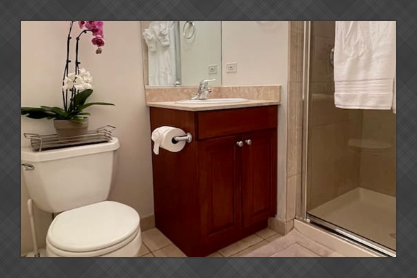 Full shower and bathroom set up for easy mornings routines
