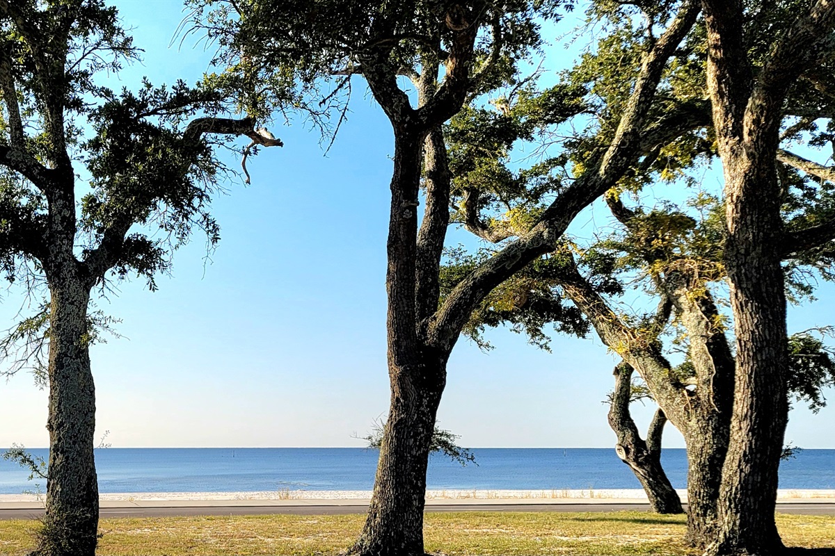 Driving along the Beach