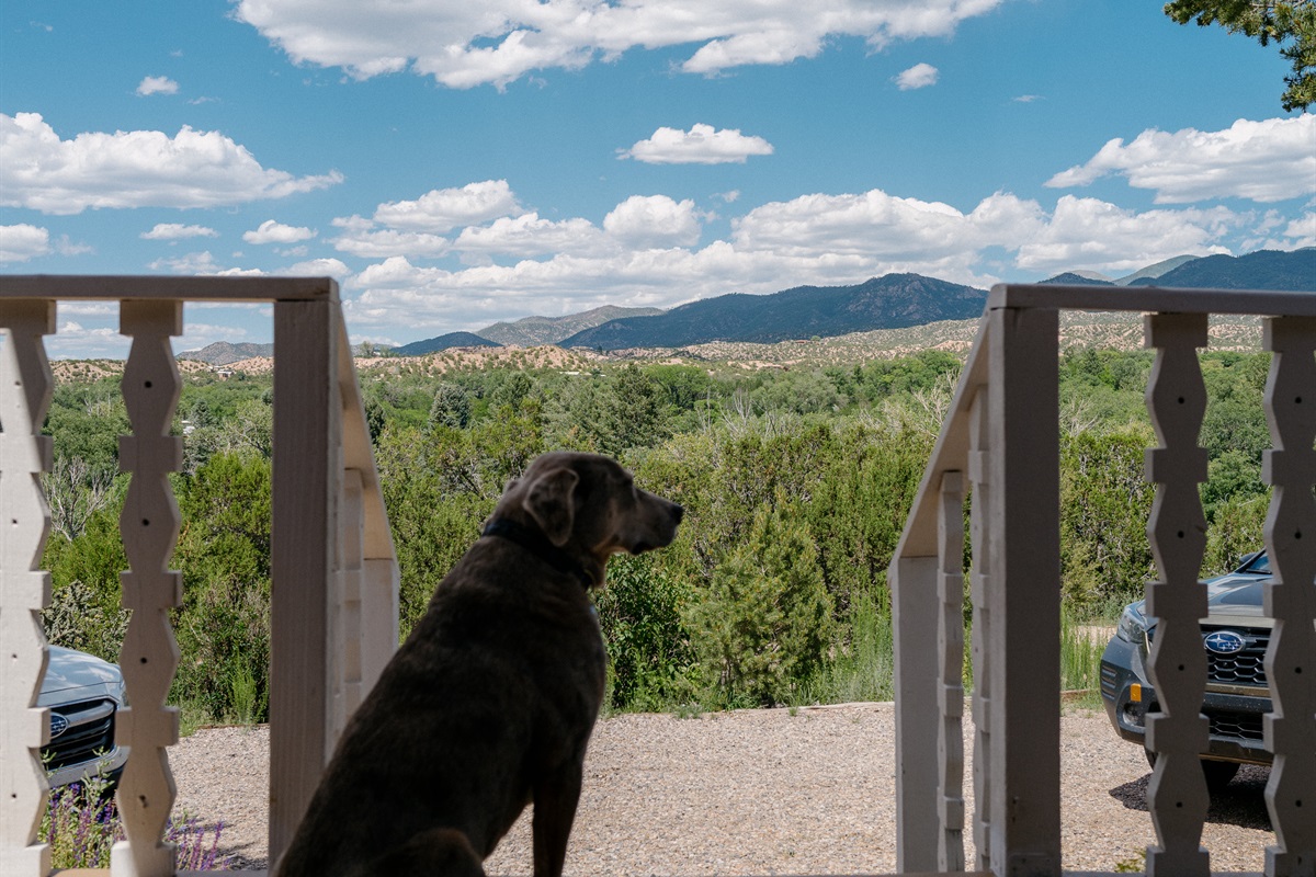 Mountain Views
