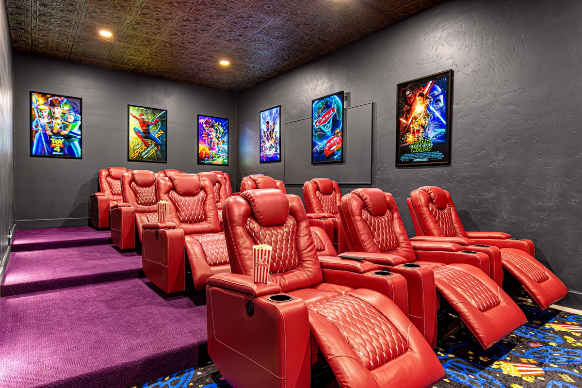 12 person movie theater ready to go for late night family movies