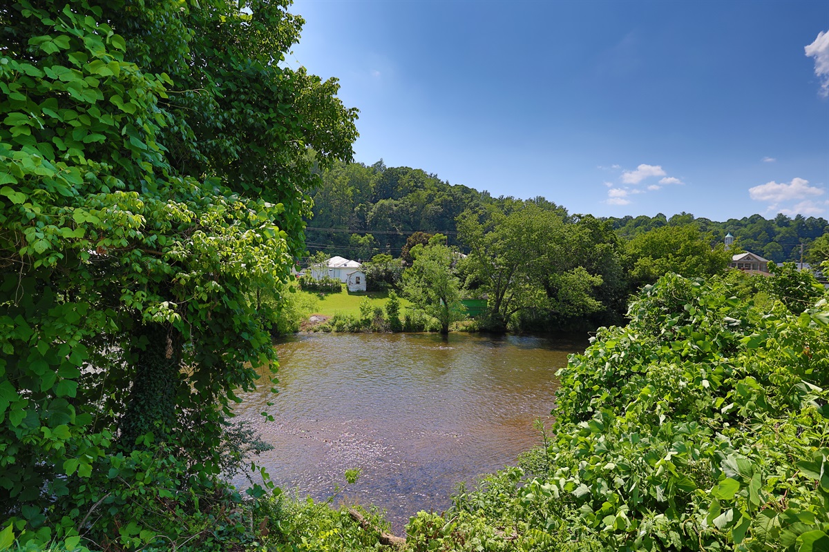 Backyard, view of Smith River