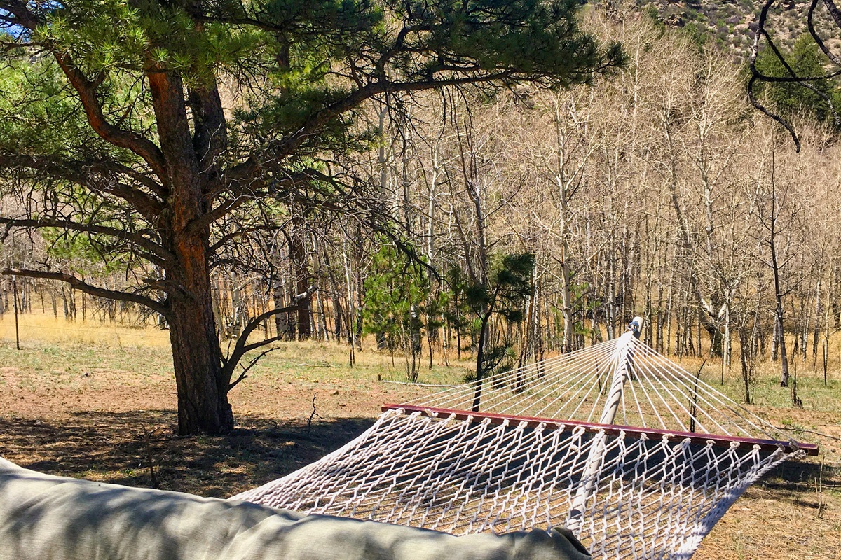 Hammock for Napping