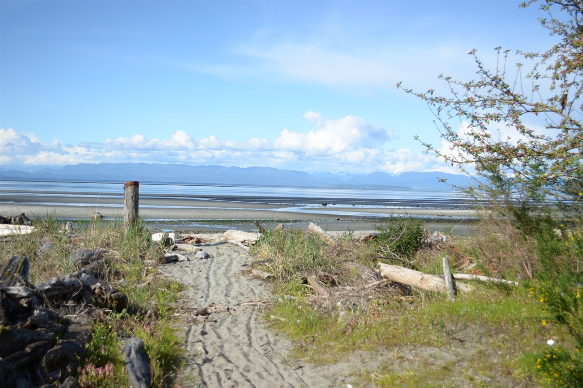 Path across the street to the beach