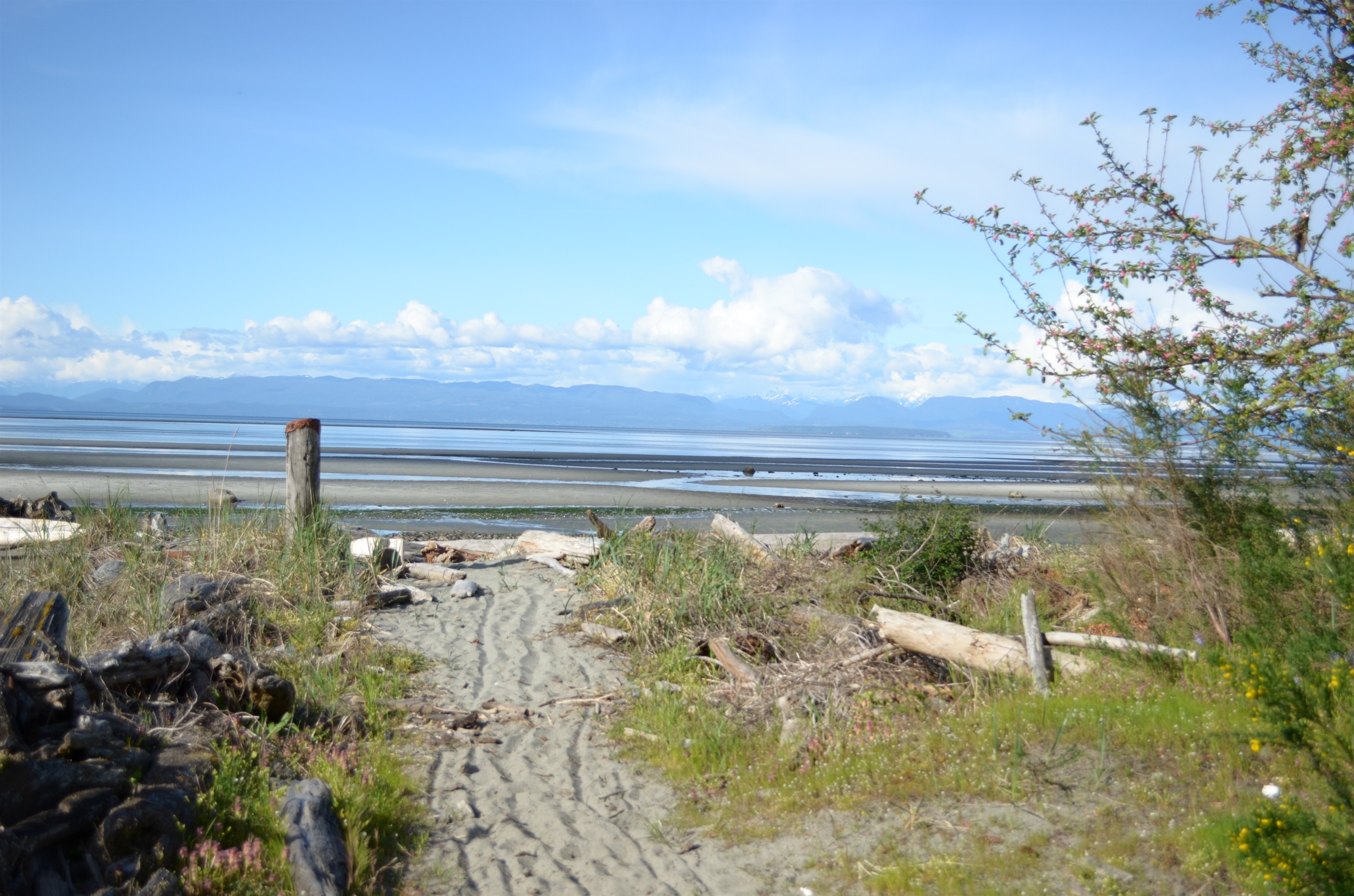 Path across the street to the beach