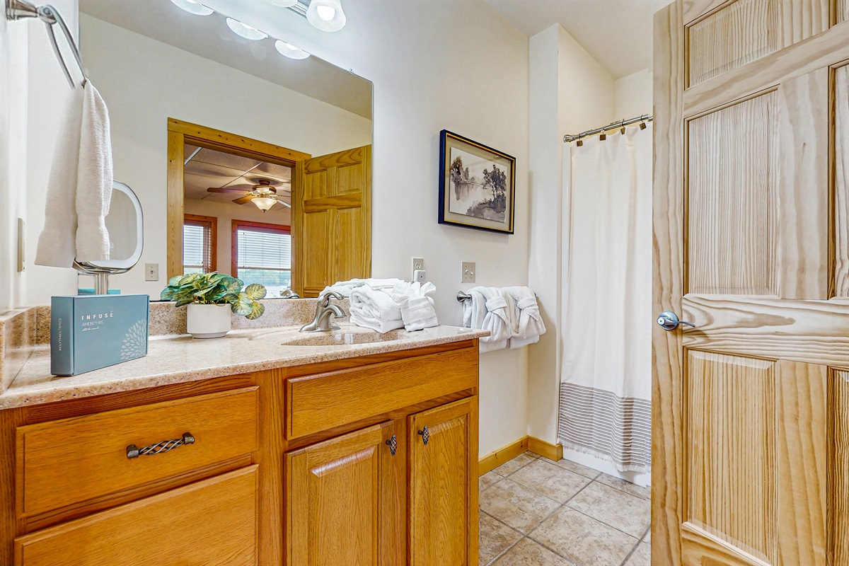 Lower level bathroom 