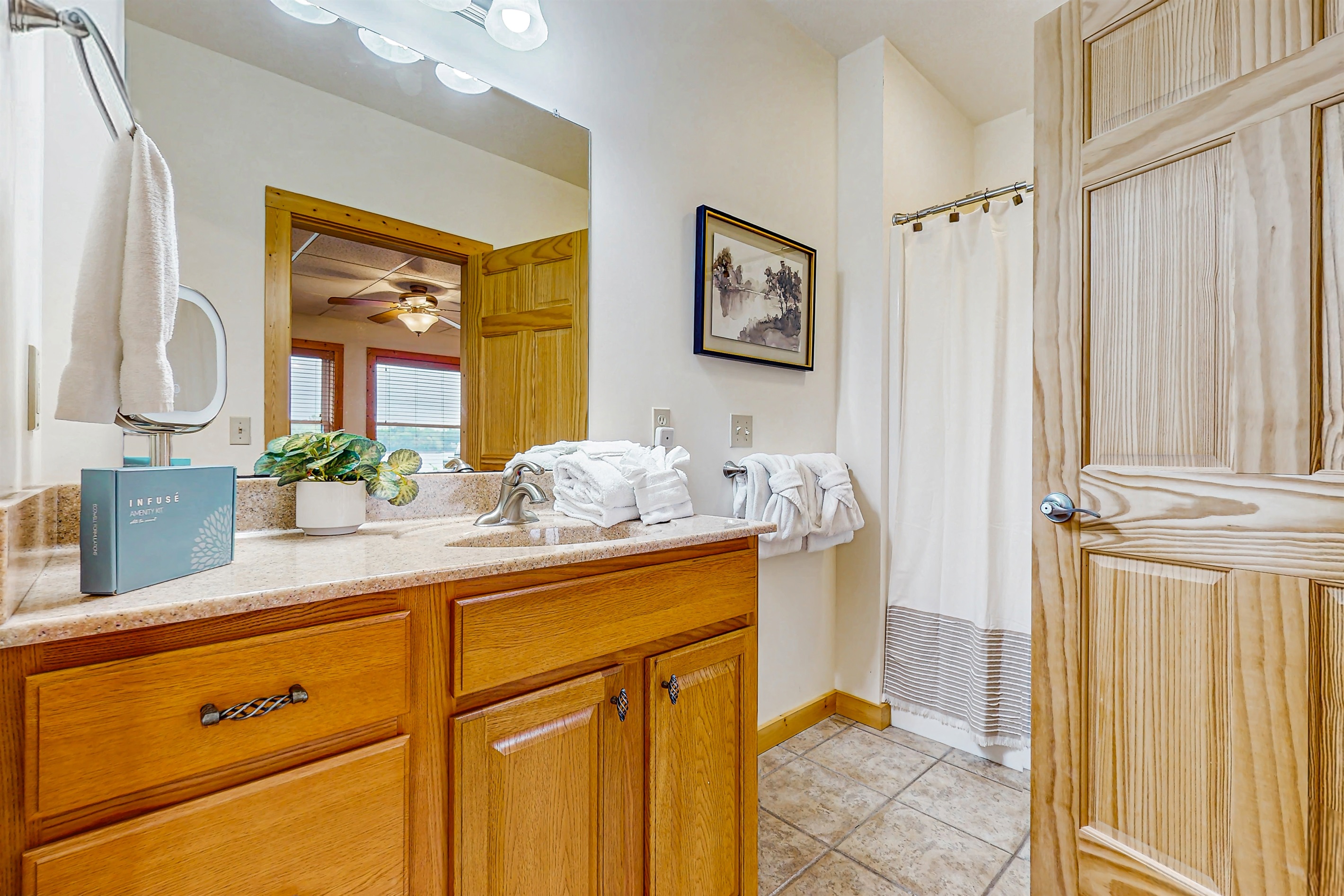 Lower level bathroom 