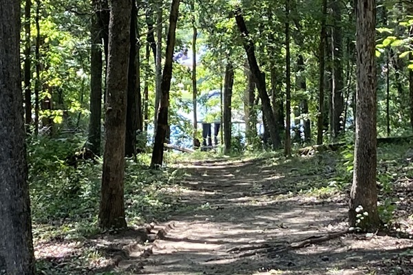 Secluded wooded path leading from house to lake - approximately 100 yards - Watch for birds, turtles, and deer wandering in the woods!