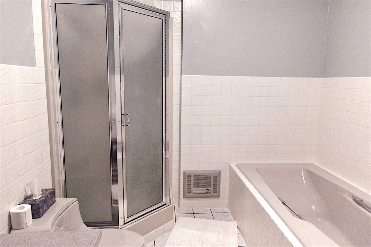 The master bedroom ensuite bathroom includes a shower and large soaking tub. This is one of the longest tubs we've ever seen! 