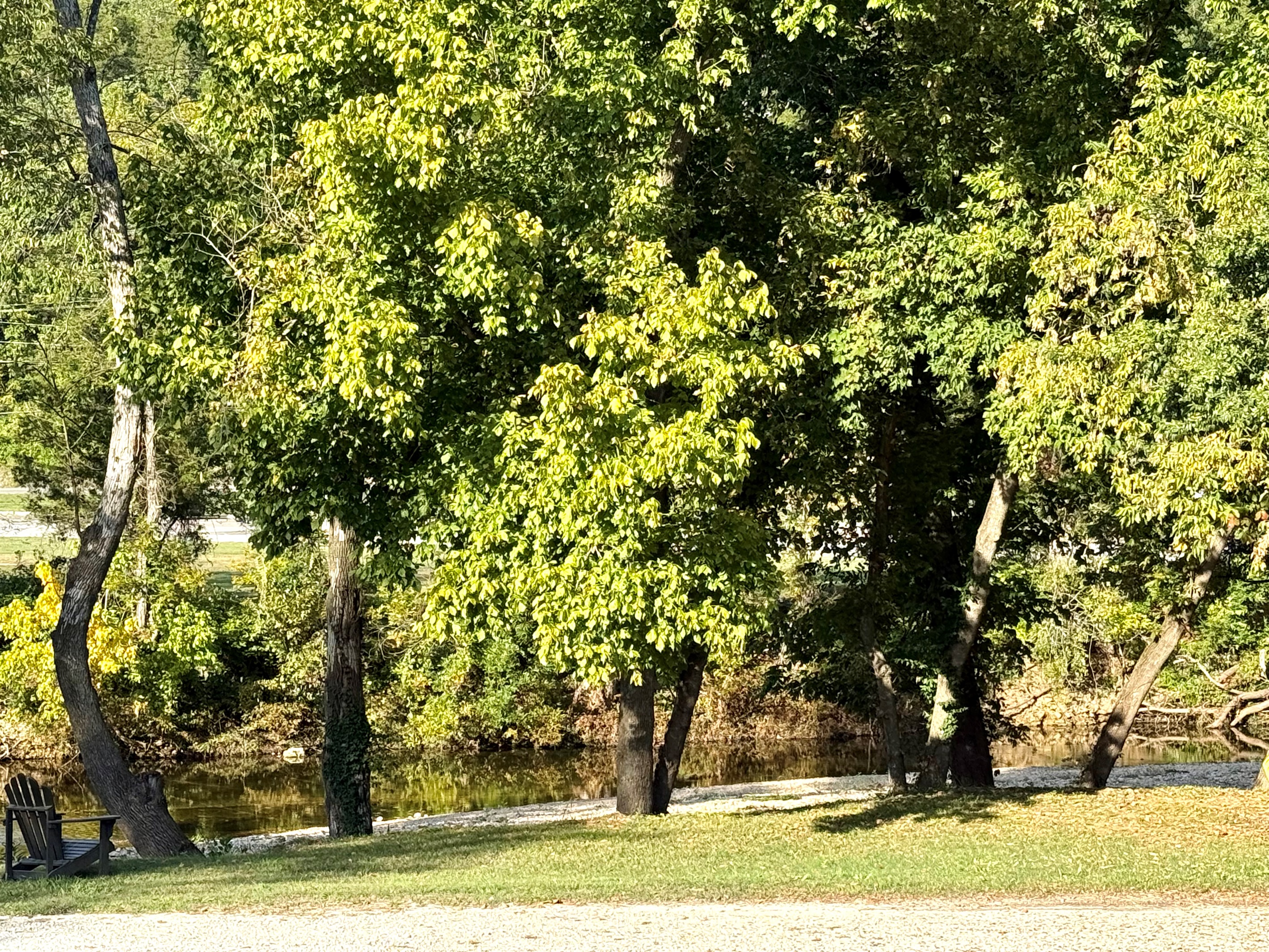 View of the creek from your porch.