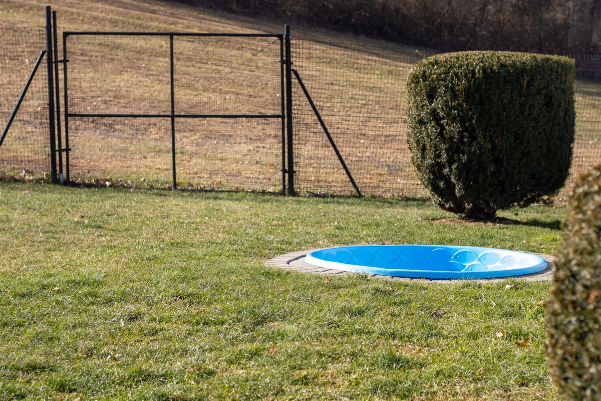 Private Doggie Pool