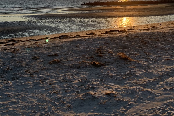 sunset on the beach