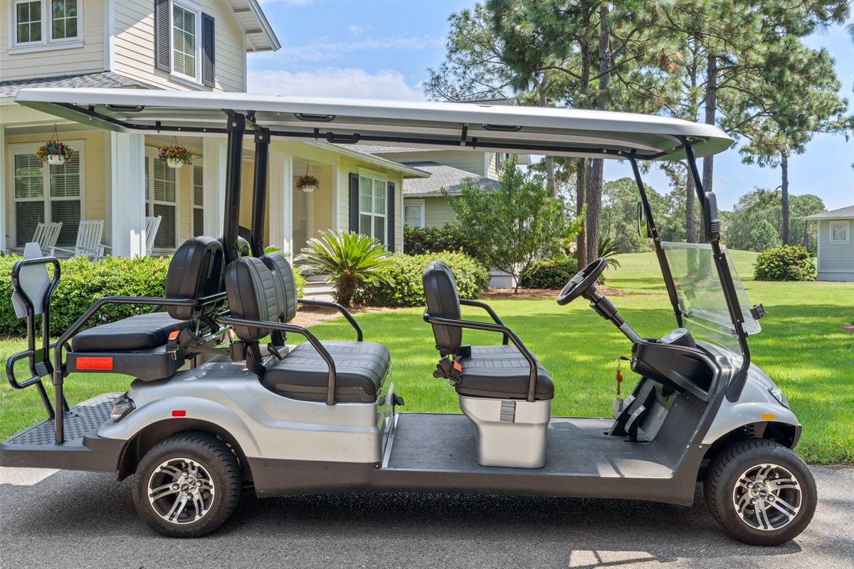 6 seater cart