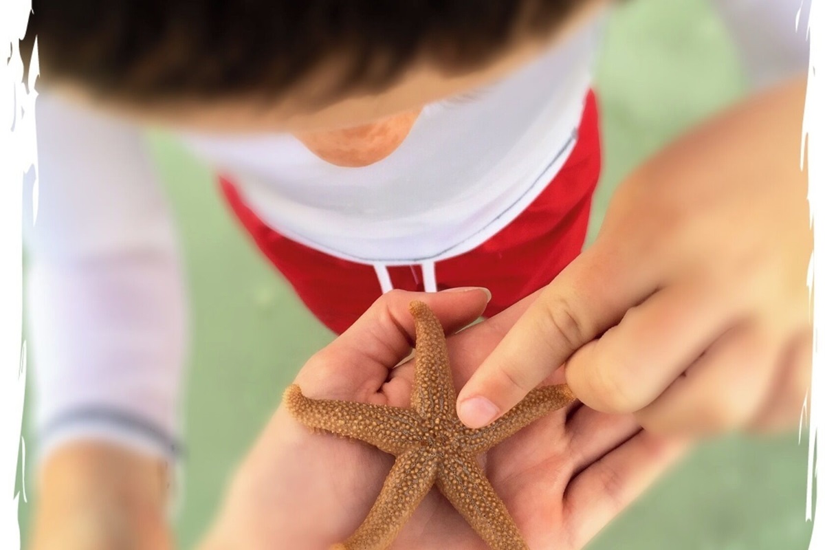 Beach Discoveries! (This is our son's discovery)